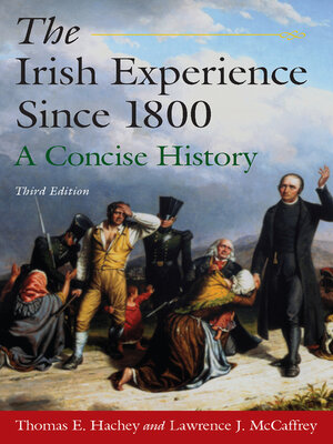 cover image of The Irish Experience Since 1800